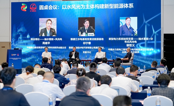 水风光一体化及综合能源基地开发研讨会在长沙召开 共探绿色发展新路径